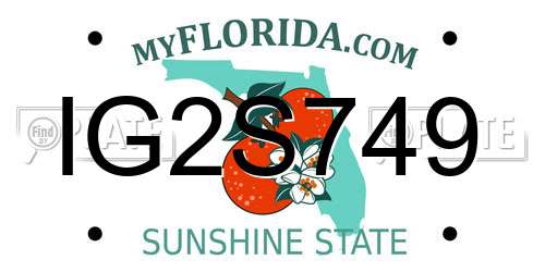 IG2S749 Florida License Plate