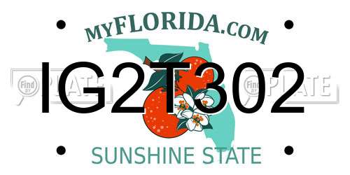 IG2T302 Florida License Plate