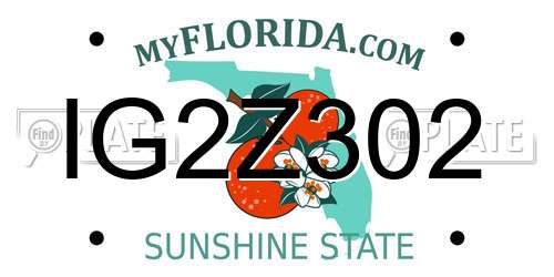 IG2Z302 Florida License Plate