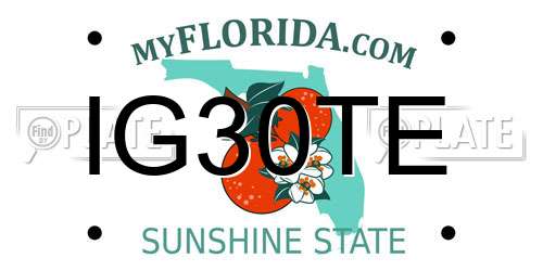 IG30TE Florida License Plate