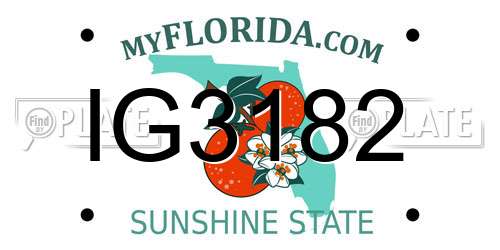 IG3182 Florida License Plate