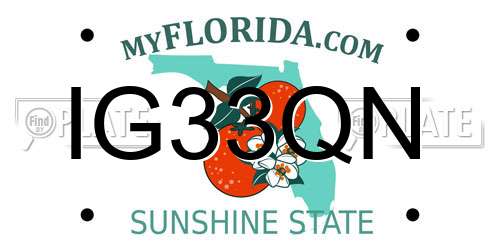 IG33QN Florida License Plate