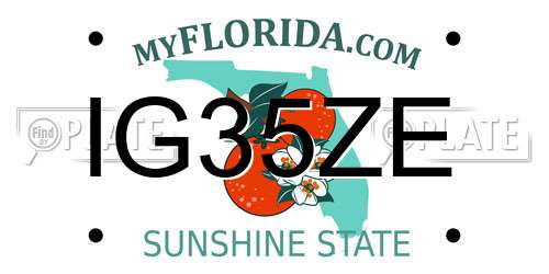 IG35ZE Florida License Plate