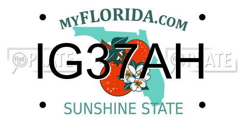 IG37AH Florida License Plate