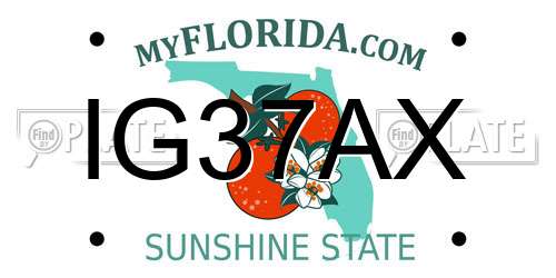 IG37AX Florida License Plate