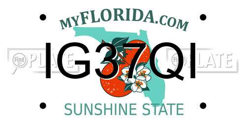 IG37QI Florida License Plate