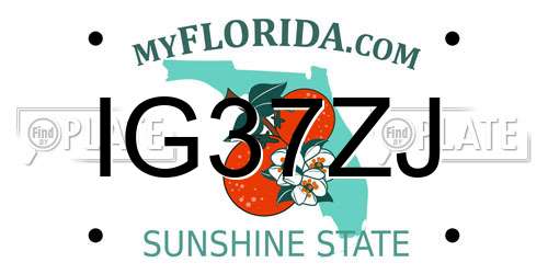 IG37ZJ Florida License Plate