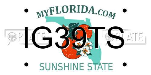 IG39TS Florida License Plate