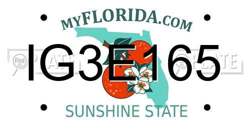 IG3E165 Florida License Plate