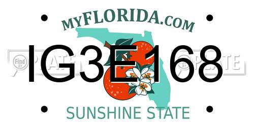 IG3E168 Florida License Plate