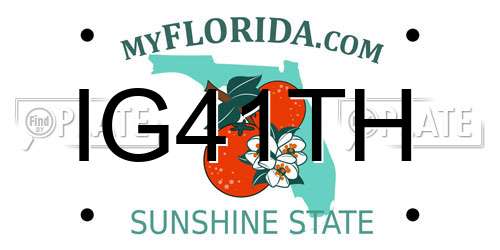 IG41TH Florida License Plate