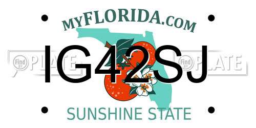 IG42SJ Florida License Plate