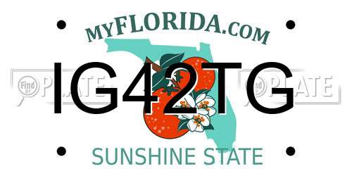 IG42TG Florida License Plate