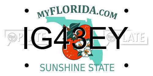 IG43EY Florida License Plate