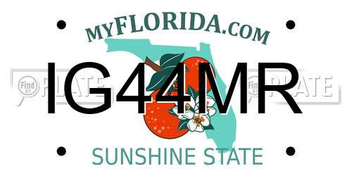 IG44MR Florida License Plate