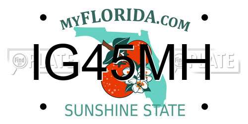 IG45MH Florida License Plate