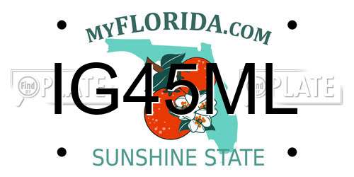 IG45ML Florida License Plate