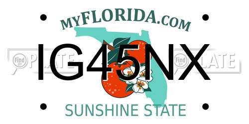 IG45NX Florida License Plate