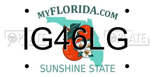 IG46LG Florida License Plate