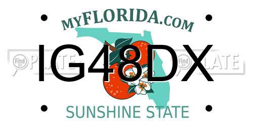 IG48DX Florida License Plate