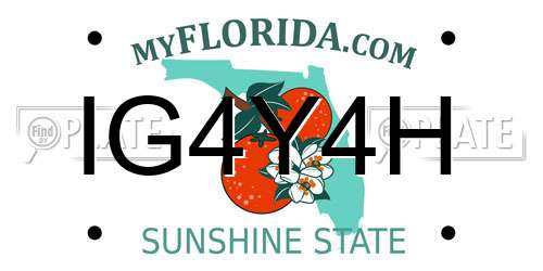 IG4Y4H Florida License Plate