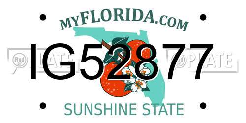 IG52877 Florida License Plate