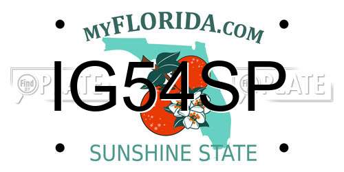 IG54SP Florida License Plate