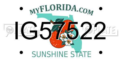 IG57522 Florida License Plate