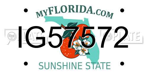 IG57572 Florida License Plate
