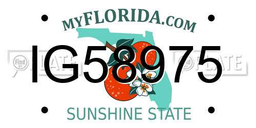 IG58975 Florida License Plate