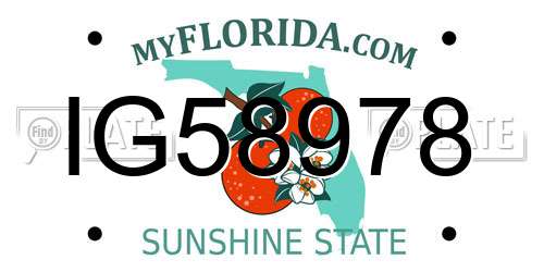IG58978 Florida License Plate
