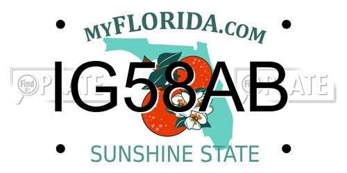 IG58AB Florida License Plate
