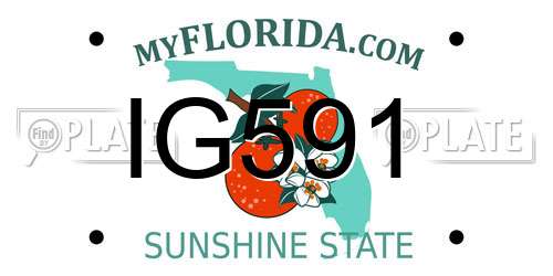 IG591 Florida License Plate