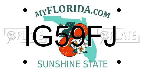 IG59FJ Florida License Plate