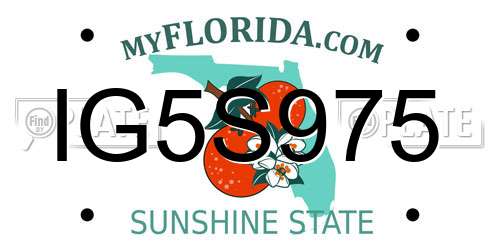 IG5S975 Florida License Plate