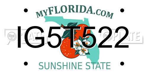 IG5T522 Florida License Plate