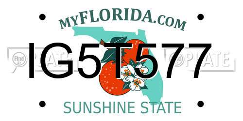 IG5T577 Florida License Plate