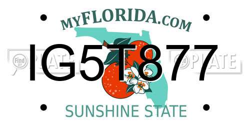 IG5T877 Florida License Plate