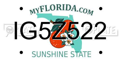 IG5Z522 Florida License Plate