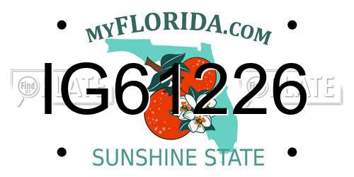 IG61226 Florida License Plate