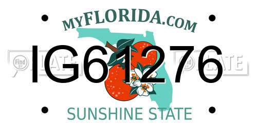 IG61276 Florida License Plate