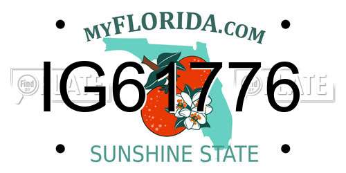 IG61776 Florida License Plate