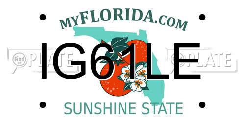 IG61LE Florida License Plate