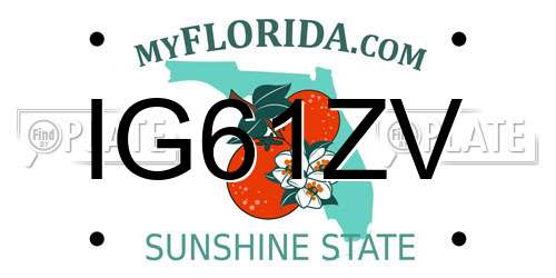 IG61ZV Florida License Plate