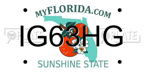 IG63HG Florida License Plate