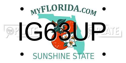 IG63UP Florida License Plate
