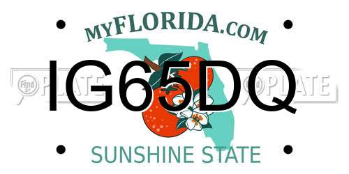 IG65DQ Florida License Plate