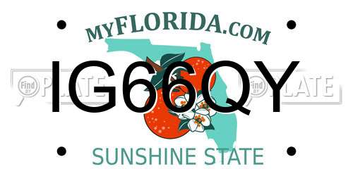 IG66QY Florida License Plate