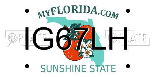 IG67LH Florida License Plate