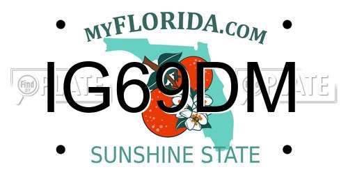 IG69DM Florida License Plate
